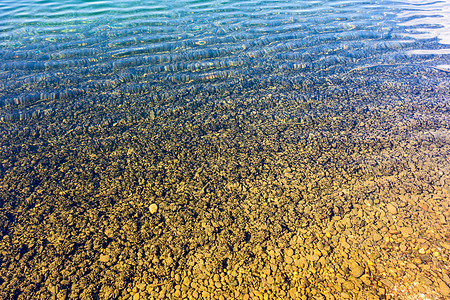 莱茵河贝壳 清水蓝色背景图片