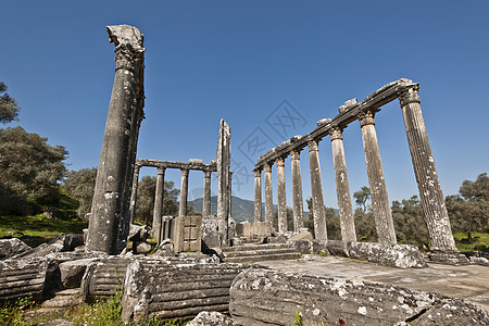 Euromos 爱爱会土耳其旅游文明文化考古学寺庙结构目的地火鸡古物建筑图片