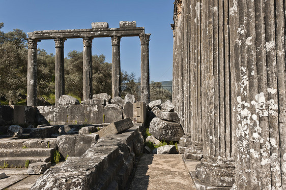 Euromos 爱爱会土耳其建筑古物水平火鸡结构旅游目的地考古学文化历史图片