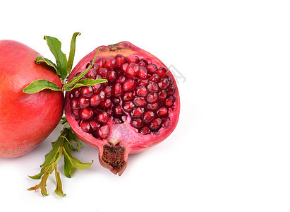 石榴热带甜点情调农业白色水果异国种子红色食物图片