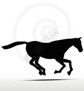 高压位置的马脚背影雄性宠物阴影插头划线跑步骏马野马背光白色插画