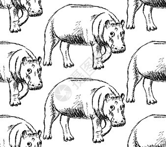 矢量老旧无缝模式哺乳动物荒野艺术墨水动物丛林雕刻野生动物卡通片插图图片