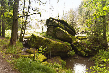 登山之旅 德国戈德斯蒂格爬山溪流岩石山涧爬坡自然保护区旅行自然公园牧歌花岗岩图片