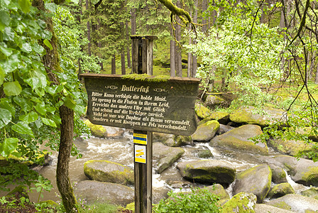 登山之旅 德国戈德斯蒂格爬山自然保护区自然公园保护区树木苔藓爬坡高地岩石木头图片