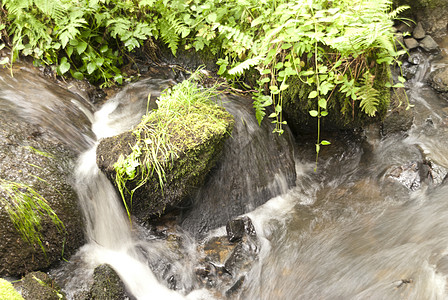 自然保护区自然公园花岗岩爬山高地树木岩石山涧苔藓爬坡保护区图片