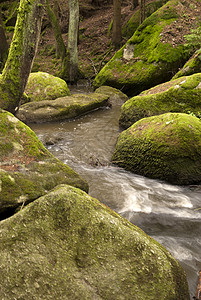 自然保护区踪迹牧歌旅行高地木头保护区森林山涧溪流爬山图片