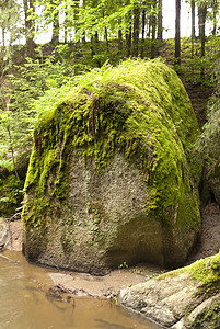 自然保护区保护区苔藓旅行高地花岗岩森林木头岩石爬坡树木图片
