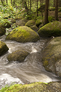 自然保护区爬坡苔藓牧歌山涧旅行森林高地爬山溪流自然公园图片