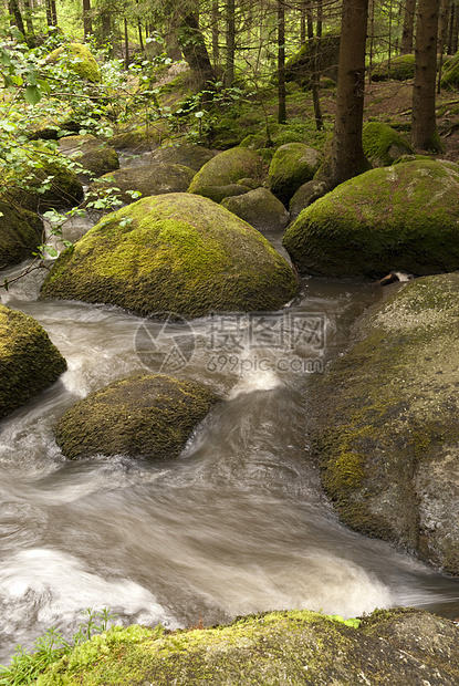 自然保护区爬坡苔藓牧歌山涧旅行森林高地爬山溪流自然公园图片