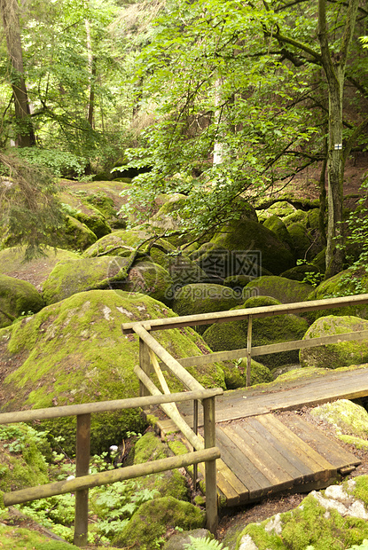 自然保护区岩石爬山自然公园苔藓溪流爬坡山涧踪迹树木森林图片