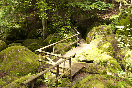 自然保护区自然公园岩石爬山花岗岩爬坡山涧溪流树木木头苔藓图片