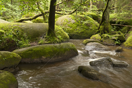 自然保护区木头旅行岩石自然公园森林苔藓爬山花岗岩牧歌溪流图片