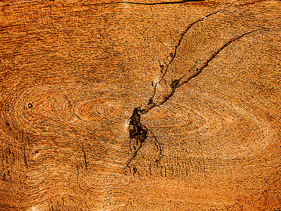 木质质材料地面桌子木纹硬木粮食控制板木材图片