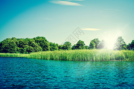 有蓝水和绿树的长堤湖背景图片