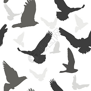 矢量鸟类背景无缝模式航班动物猫头鹰红衣青鸟鸟巢木头蜂鸟黑与白电线图片