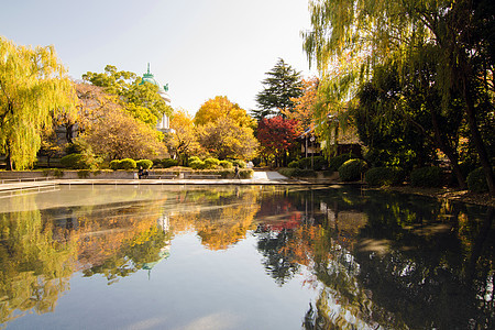 Ueno的美景池塘图片