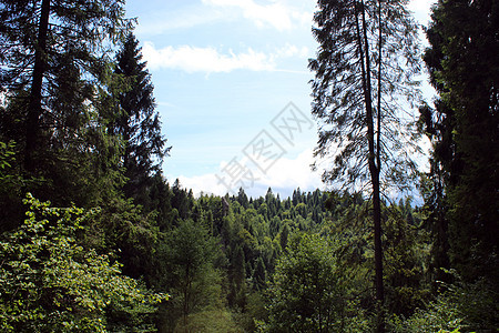 至喀尔巴阡山小路旅游衬套场景旅行假期悬崖全景地区画报图片