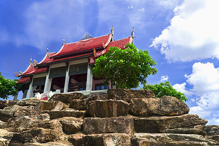 在石头上公园树木天空花园植物棕榈阳光场景热带植物群图片