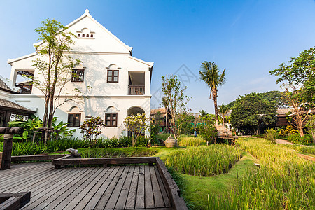 泰国别墅的绿稻田热带房子国家绿色村庄场景大车食物农场文化图片