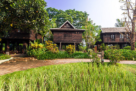 泰国别墅的绿稻田村庄大车热带绿色场地植物文化场景国家房子图片