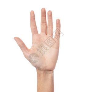 女性手表显示5个数白色女士手指一部分数字数数教育宏观概念拇指图片