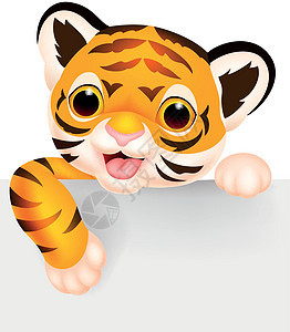 带空白标志的可爱老虎幸福野生动物条纹冒充夹子婴儿动物童年横幅哺乳动物背景图片