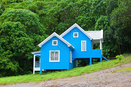 森林中的蓝房子窗户院子公园建筑农村奢华森林绿色木头乡村图片