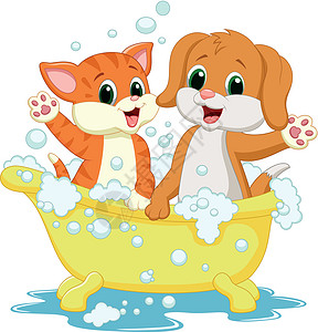 可爱的猫和狗洗澡时间婴儿马夫气泡擦洗吉祥物肥皂卡通片温泉小狗插图图片