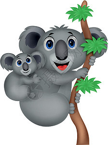 母亲和婴儿koala漫画耳朵卡通片插图绘画叶子动物哺乳动物童年夹子图片