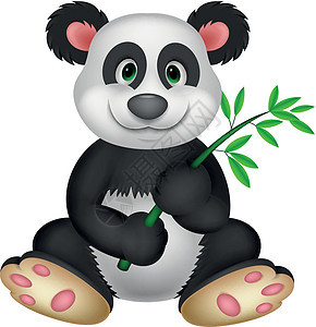 巨人熊猫吃竹子动物白色野生动物插图冒充吉祥物濒危黑色哺乳动物乐趣图片