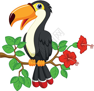 可爱的土干鸟卡通漫画绘画鹦鹉木槿情调热带宠物动画动物群异国生物图片
