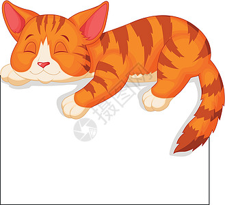 睡着可爱猫婴儿动物幼兽漫画快乐邀请函卡通片猫咪哺乳动物睡眠图片