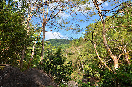 山区地貌森林蓝色多云岩石季节绿色天空天气风景晴天图片