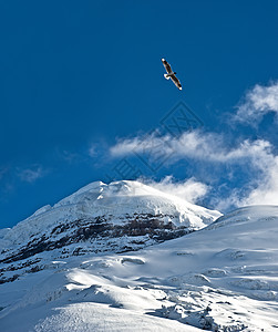 Cotopaxi 火山体图片