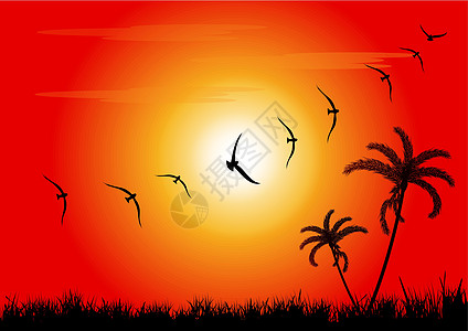 日落和鸟类金子橙子团体海鸥环境树叶生活绘画云景翅膀图片