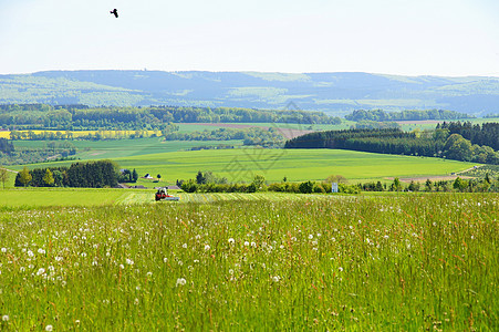 Hunsr挪威土地经济地景草原地貌绿色蕨类植物图片