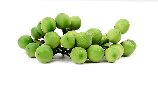 火鸡白莓烹饪茄子圆形绿色白色植物衬套美食蔬菜水果背景图片