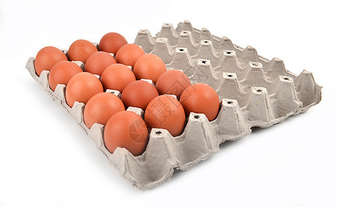 以纸质托盘中鸡蛋团体动物白色棕色早餐蛋壳包装家禽农场食物图片