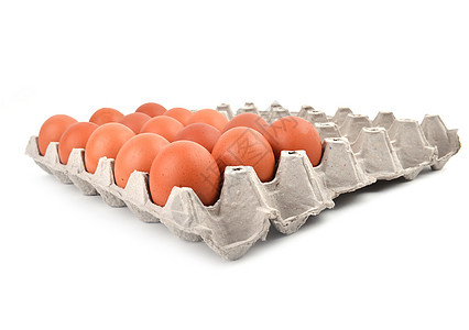 以纸质托盘中鸡蛋食物早餐包装动物家禽农场产品蛋壳棕色团体图片
