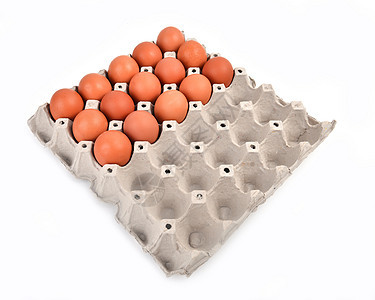 以纸质托盘中鸡蛋包装早餐蛋壳家禽食物农场动物白色棕色产品图片
