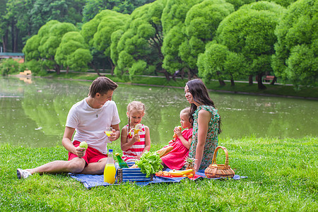家庭在公园野餐快乐女士童年森林父母成人农村爸爸篮子母亲活动图片