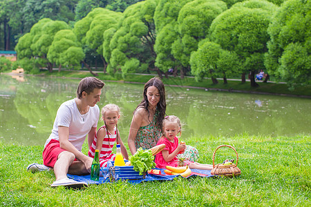 家庭在公园野餐快乐女儿森林童年水果爸爸婴儿草地篮子喜悦母亲图片
