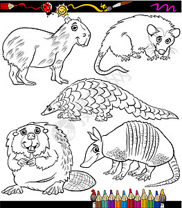 动物设置卡通彩色本填色本教育漫画染色尾巴犰狳生物插图海狸绘画图片