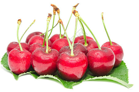 樱桃成熟的白莓 用小滴子水果湿润图片