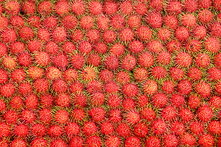 拉姆布坦热带水果收成食物农业红色图片
