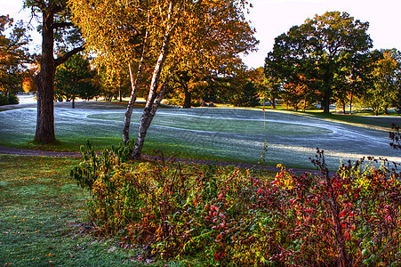 高尔夫球道的秋色 hdr场地植物群风景树叶水平人行道季节性绿色天空颜色图片