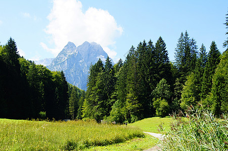 阿尔卑斯山顶顶尖提示器 Dem Wald背景图片
