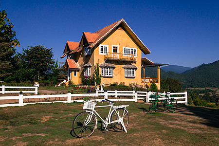 山上黄色经典房子院子树木卵石木头花朵窗户家庭草地绿化财产图片