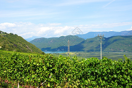 苏得提洛省的温德夏夫地景地貌意大利人庄园图片