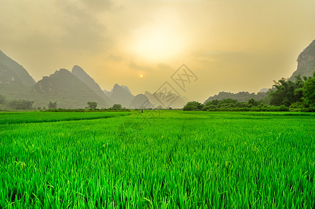 阳久桂林的李河风景面纱岩石假期编队观光岩溶地形水路旅行天空图片